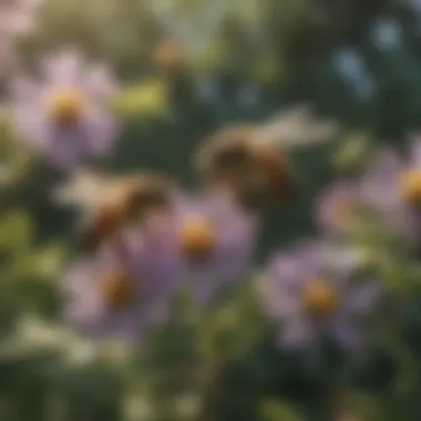 Honey Bees Interacting with Local Flora Honey bees interacting with flowers