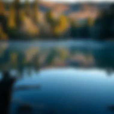 Calm waters reflecting the trees at Horsfall