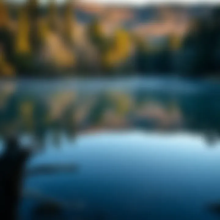 Calm waters reflecting the trees at Horsfall