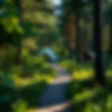 Lush greenery surrounding Horsfall Campground