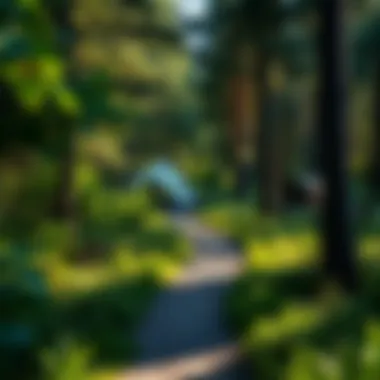 Lush greenery surrounding Horsfall Campground