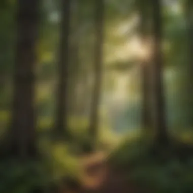 Diversity in Woodland Ecosystems A vibrant woodland scene showcasing diverse species of trees and underbrush.