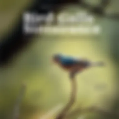 An illustrated guide depicting different bird calls and their meanings.