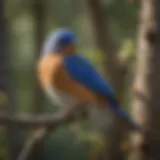 A vibrant bluebird perched on a branch