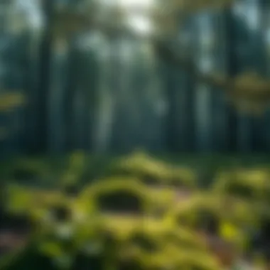 Integration of AutoCAD with Ecological Approaches Flowchart of integration between AutoCAD and ecological methodologies