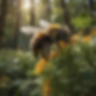 Essential Role in Pollination A bumblebee pollinating a crop in a lush garden