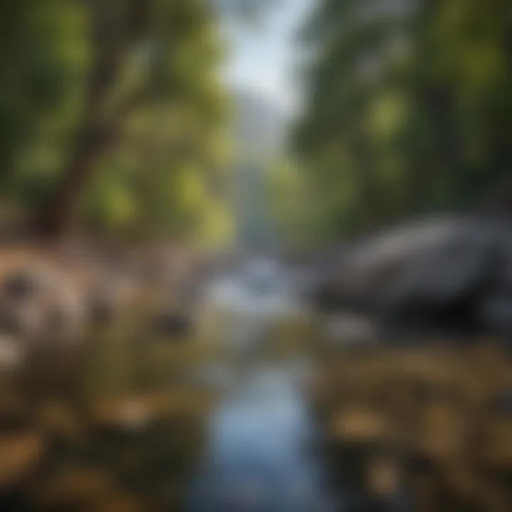 Scenic view of Kings River surrounded by lush greenery