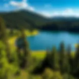 Serene Landscape of Lake in Wood Lush green landscape surrounding the tranquil lake