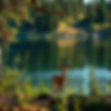 Thriving Wildlife Near the Lake Wildlife thriving in the natural habitat around the lake