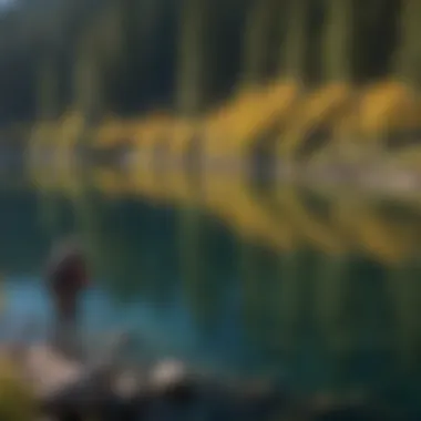 Casting into the Blue An angler casting a line into the pristine waters