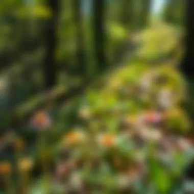 Close-up of native flora along the trail, highlighting ecological diversity