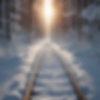 A close-up of ski tracks carved into the snowy trail, highlighting trail conditions.