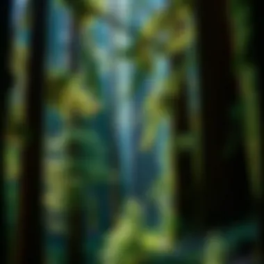 Lush redwood forest showcasing biodiversity