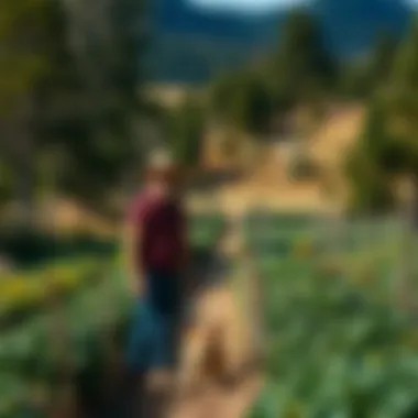 Sustainable farming practices in scenic landscapes