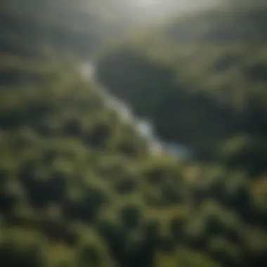 Diverse Woodland Ecosystems in the Motherlode Aerial view of the Motherlode region showcasing diverse woodland ecosystems