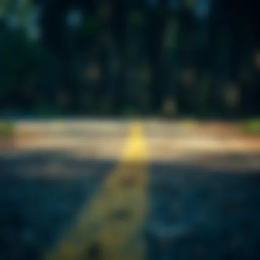 Identifying Property Boundaries An accurate boundary line painted on the ground