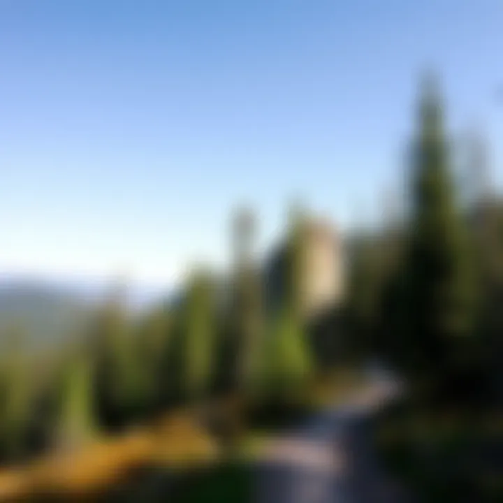 Hiking Trail Near Campgrounds A serene forest trail ideal for hiking near campgrounds