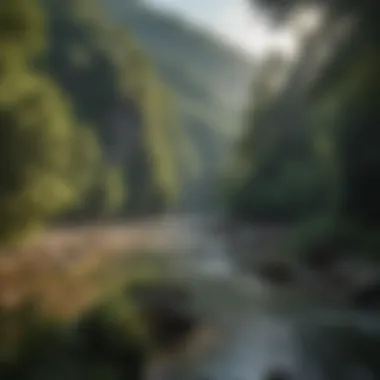 A scenic view of the Ocoee River surrounded by lush greenery