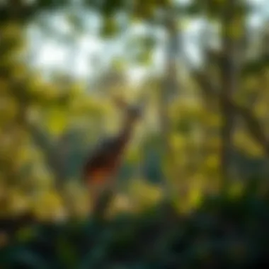 Biodiversity in Oklahoma's natural habitats