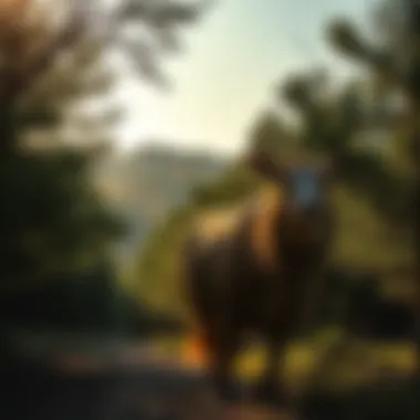 Diverse Oklahoma landscape showcasing rich ecosystems