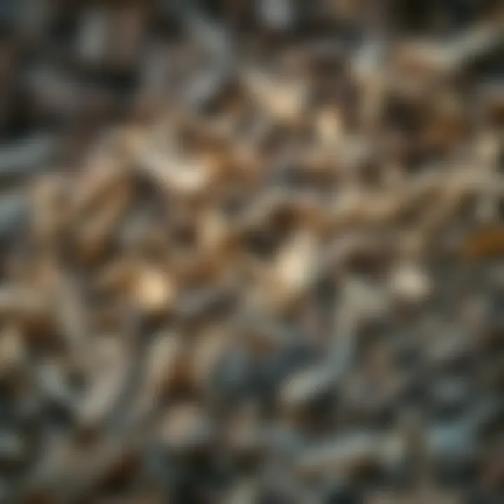 Close-up view of wood chips showcasing texture and color diversity