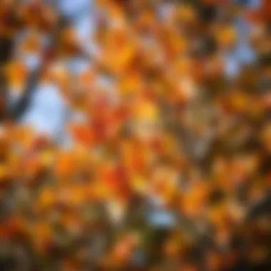 Freshly pruned tree branches showcasing vibrant foliage