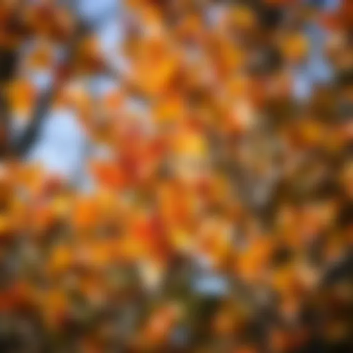 Freshly pruned tree branches showcasing vibrant foliage