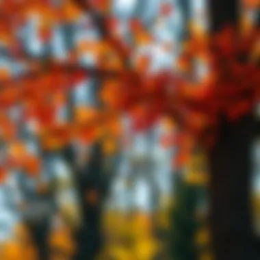 Autumn Trimming Effects on Trees Autumn leaves falling from a tree after trimming