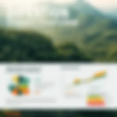 Infographic summarizing the impact of deforestation