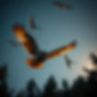 Owl in Flight Under the Stars A tranquil evening scene with owls in flight under a starry sky, symbolizing a connection to the natural world.