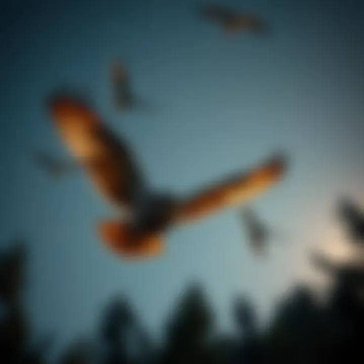 Owl in Flight Under the Stars A tranquil evening scene with owls in flight under a starry sky, symbolizing a connection to the natural world.