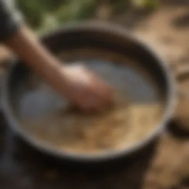 Close-up of sediment being sifted in a gold pan, showcasing technique.