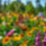 A vibrant garden filled with various flowering plants that attract pollinators