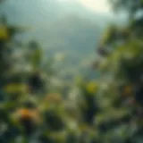 The Richness of Biodiversity A vibrant rainforest teeming with diverse wildlife