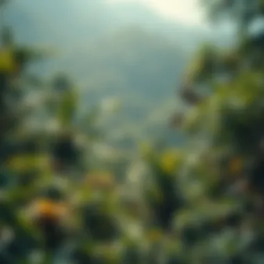 The Richness of Biodiversity A vibrant rainforest teeming with diverse wildlife