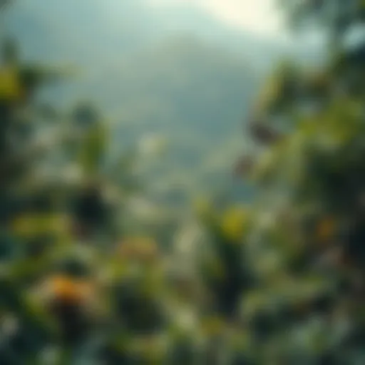 The Richness of Biodiversity A vibrant rainforest teeming with diverse wildlife