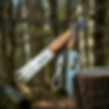 Essential Pruning Tools Demonstrative tools for birch tree pruning