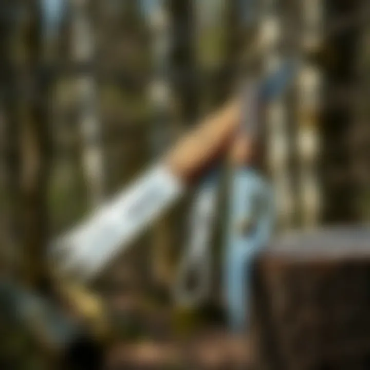 Essential Pruning Tools Demonstrative tools for birch tree pruning