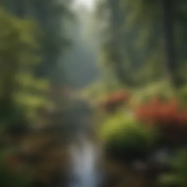 A lush, restored area along the Rainy River showcasing vibrant plant life.