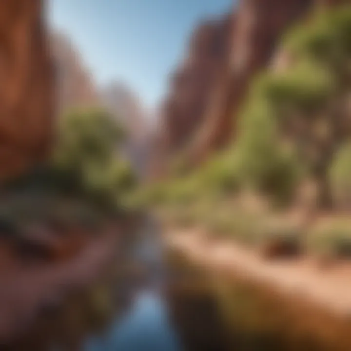 Visitor enjoying recreational activities in Red Rock Canyon