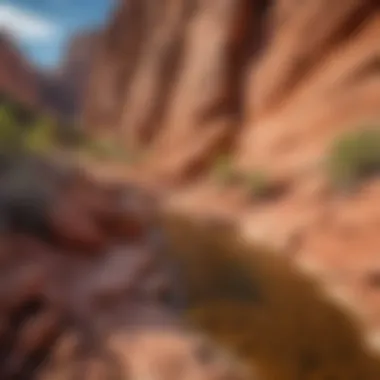 Stunning view of Red Rock Canyon showcasing unique geological formations