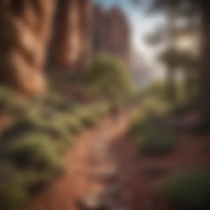 Hikers enjoying a scenic trail in the Red Rock Recreation Area