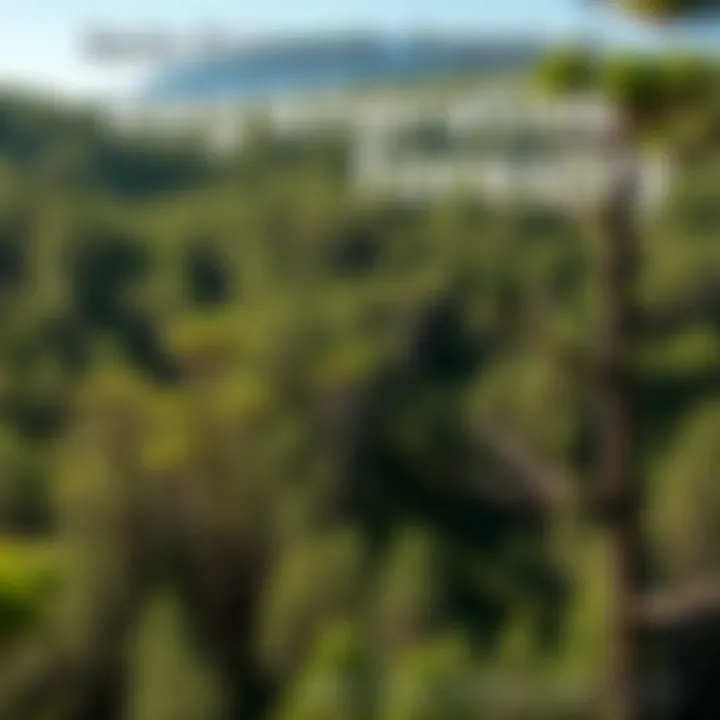 An infographic illustrating the socio-economic benefits of regenerative forestry