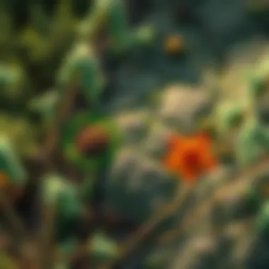 Map highlighting biodiversity hotspots within a woodland area