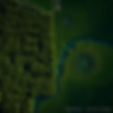 Satellite image depicting forest cover changes over time