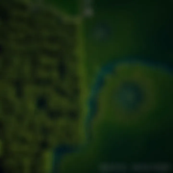 Satellite image depicting forest cover changes over time