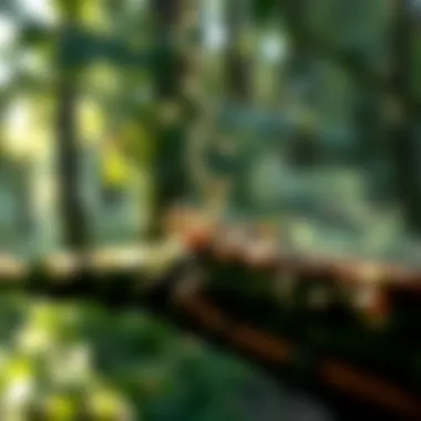 Techniques in Resin Extraction Techniques used in resin extraction