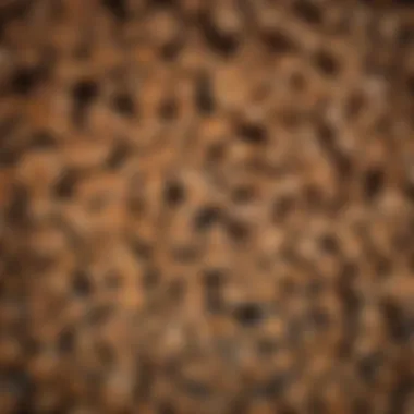 Responsibly Harvested Firewood Close-up of responsibly harvested firewood stacked neatly