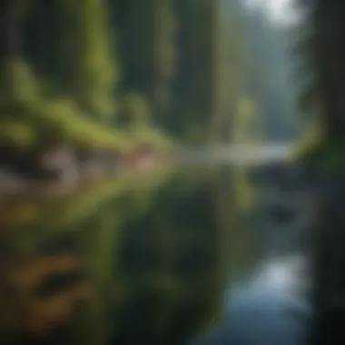 Kayakers enjoying the waters of Rivers Edge, highlighting recreational activities