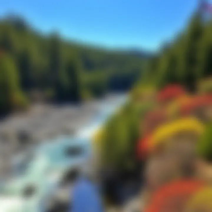 Scenic View of Rogue River Vibrant Rogue River landscape showcasing salmon habitat